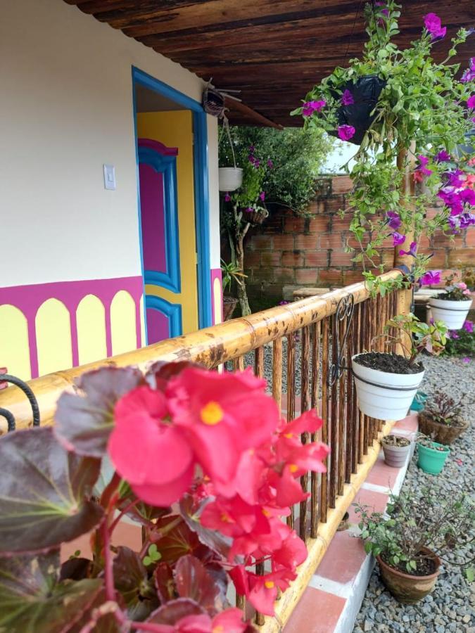 Hostal Casa Madrigal Pensión *